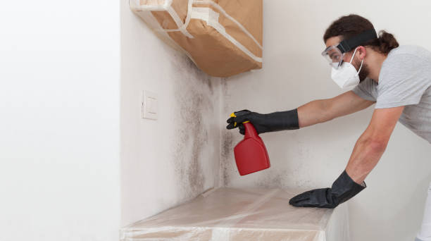 Professional Attic Mold Removal technician working in Wingate, MD