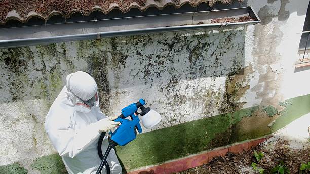 Trusted Mold Testing service in Wingate, MD - Cheap Mold Removal
